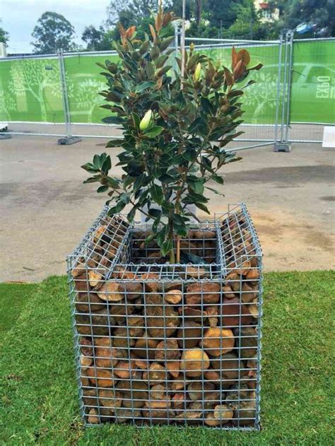 gabion metal planter box|gabion planters for gardens uk.